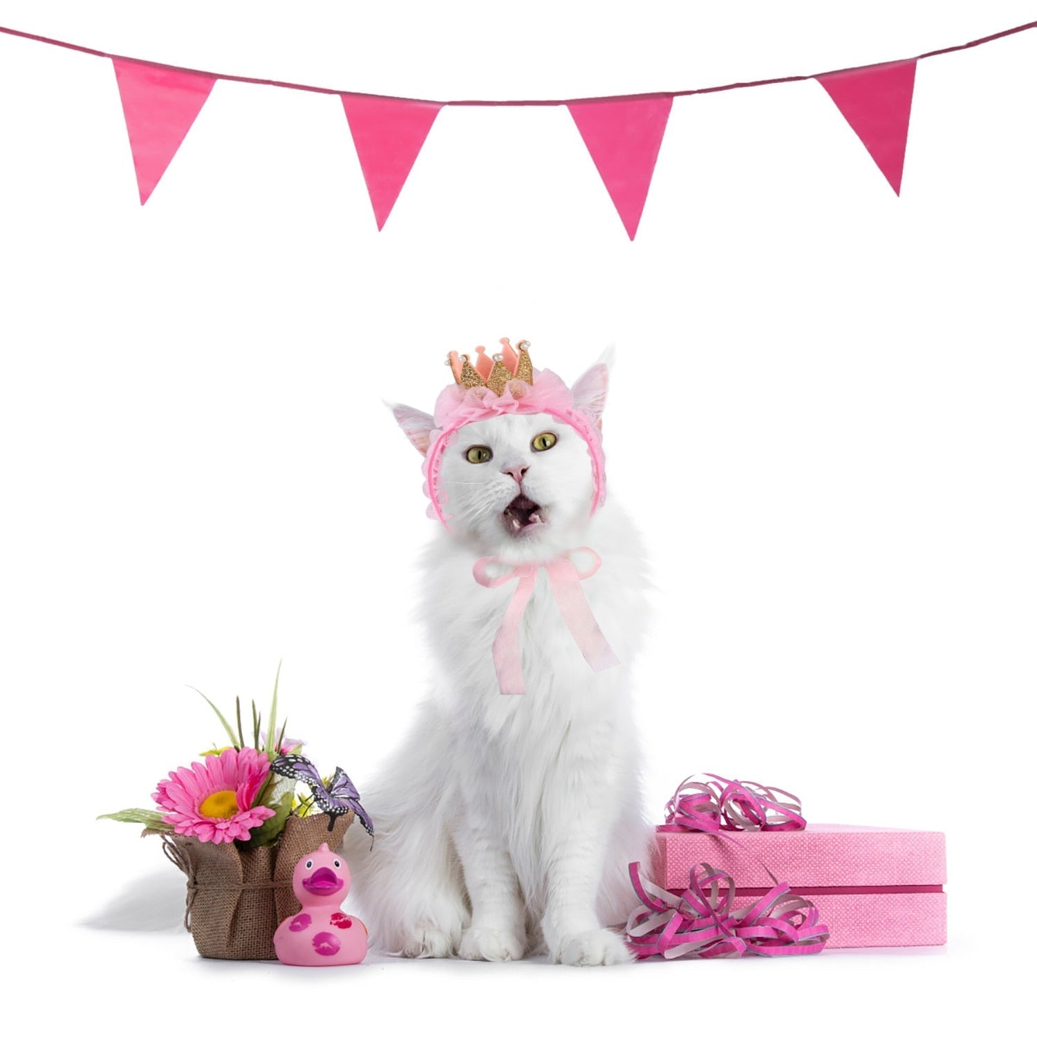 Queen Hat for Cats