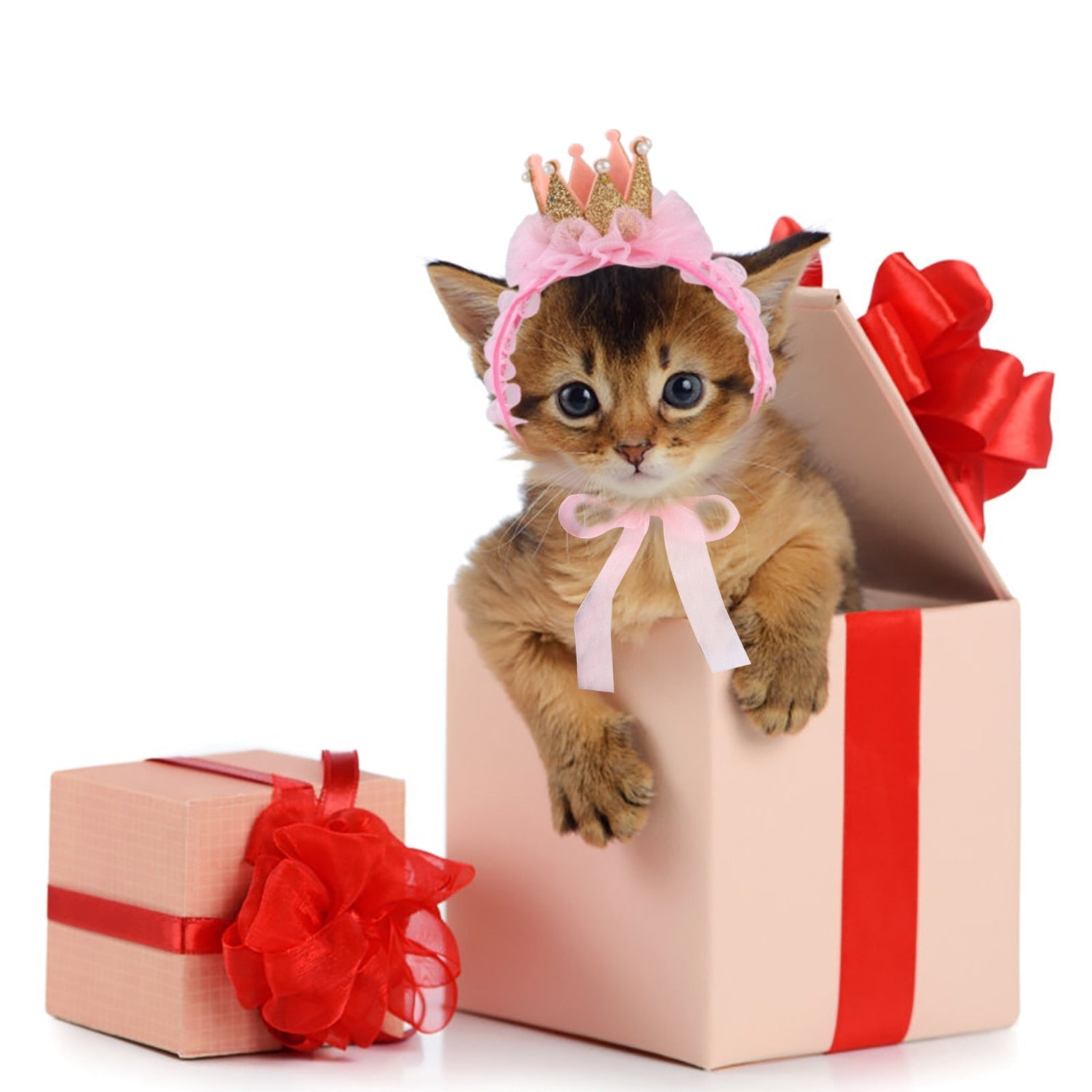Queen Hat for Cats