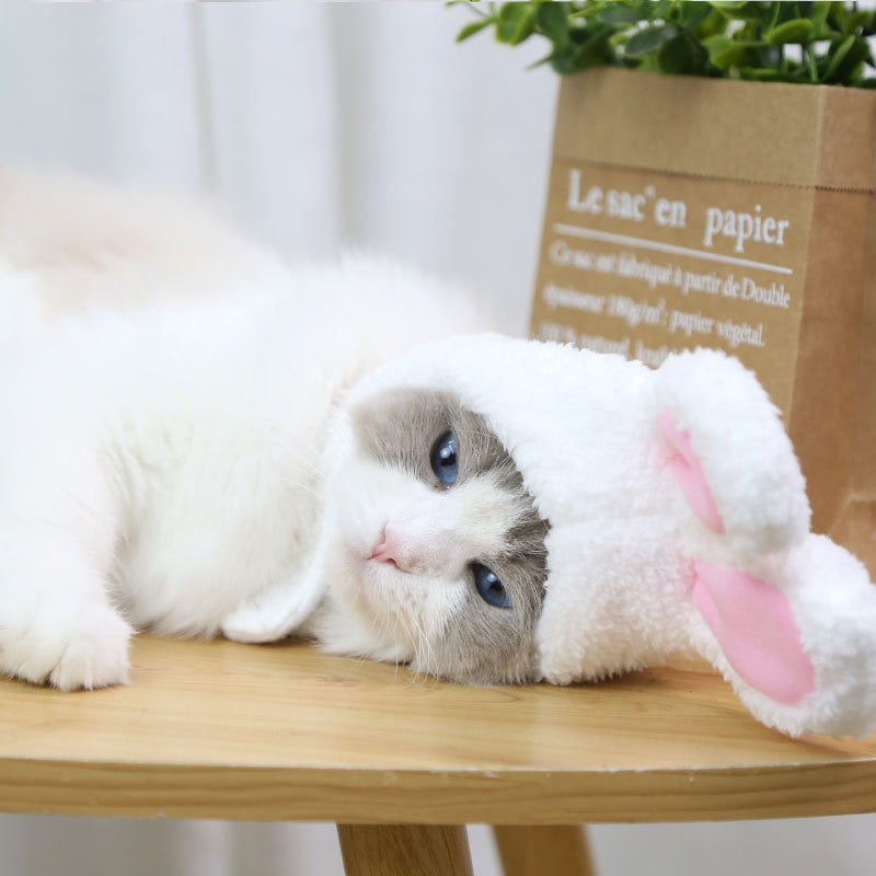Rabbit Hat for Cats