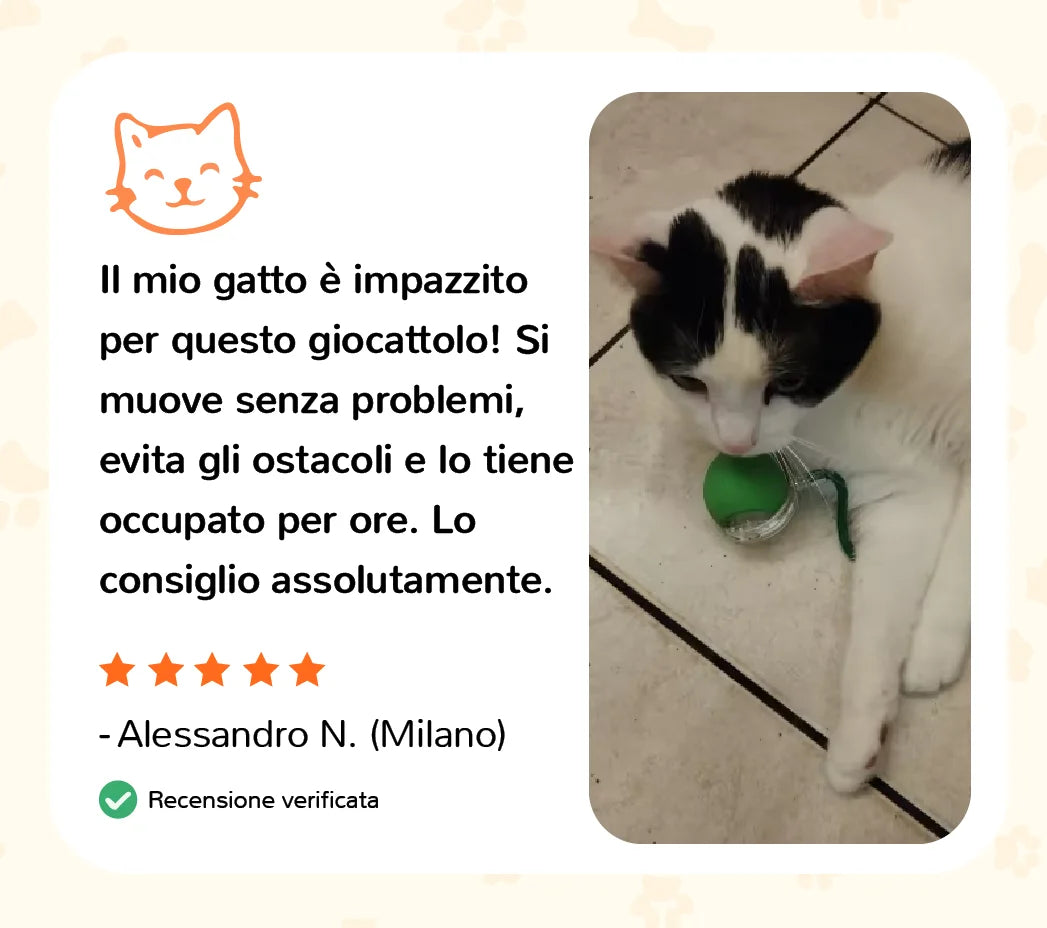 Recensione cliente Auvya: giocattolo interattivo per gatti che si muove e diverte per ore, gatto di Alessandro a Milano