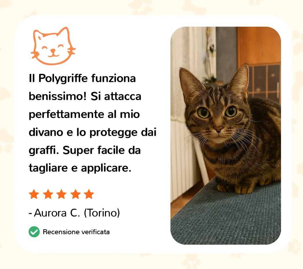 Recensione cliente Auvya: protezione divano Polygriffe contro i graffi, gatto di Aurora a Torino
