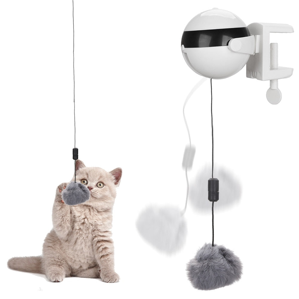 Robotic Interactive Cat Toy