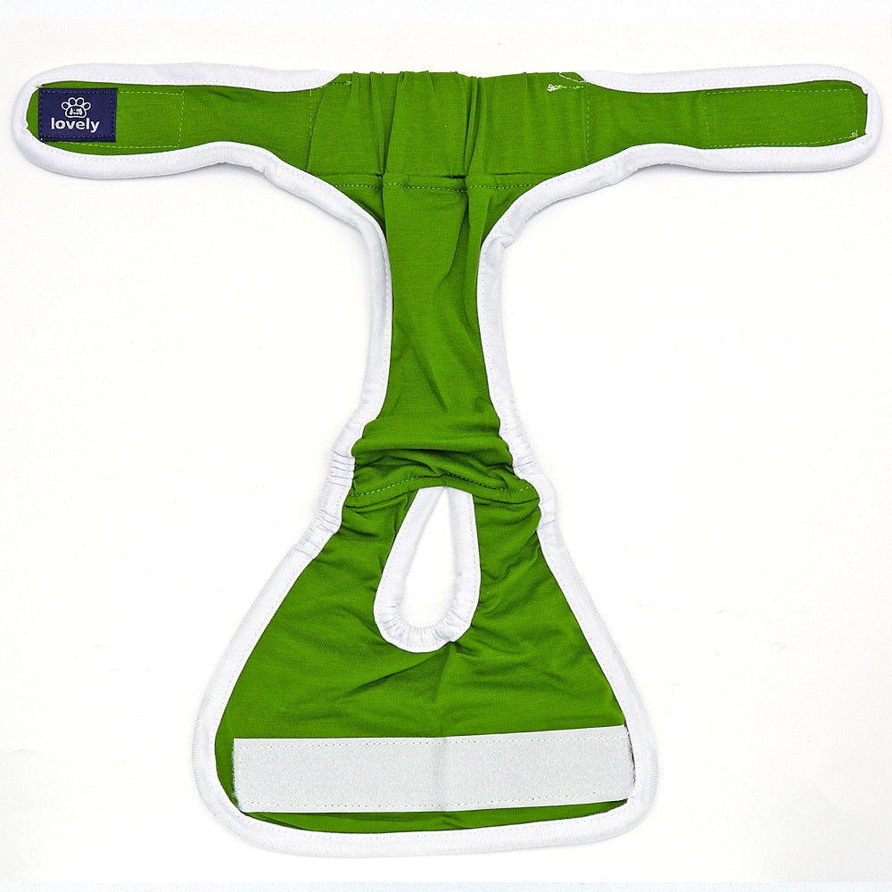 Sanitary Underwear for Cats