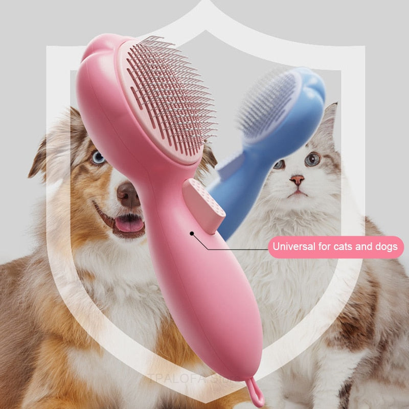 Shed Brush Cat
