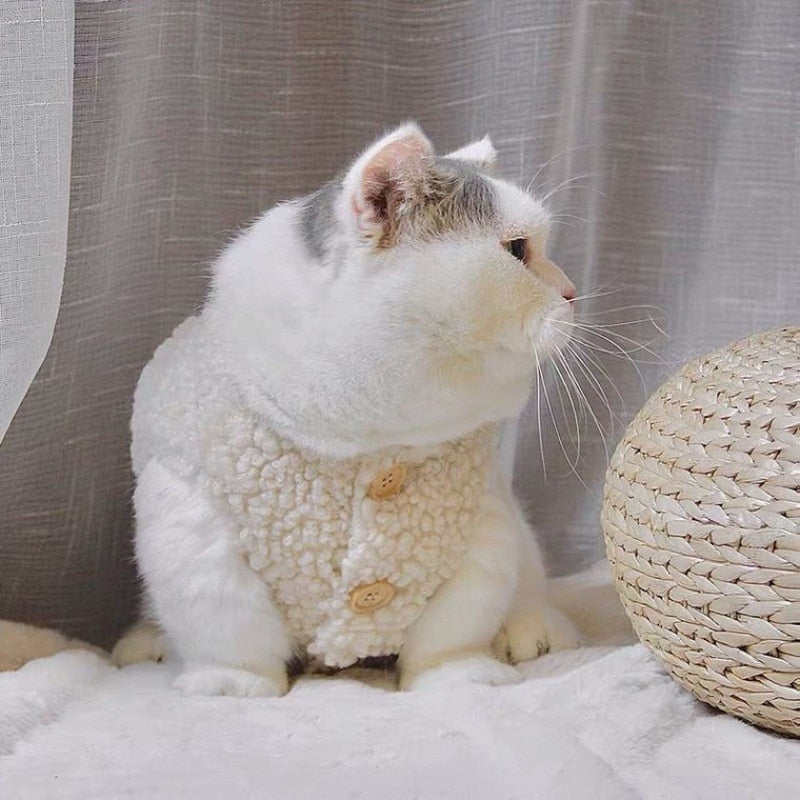 Sherpa Jacket Clothes for Cats