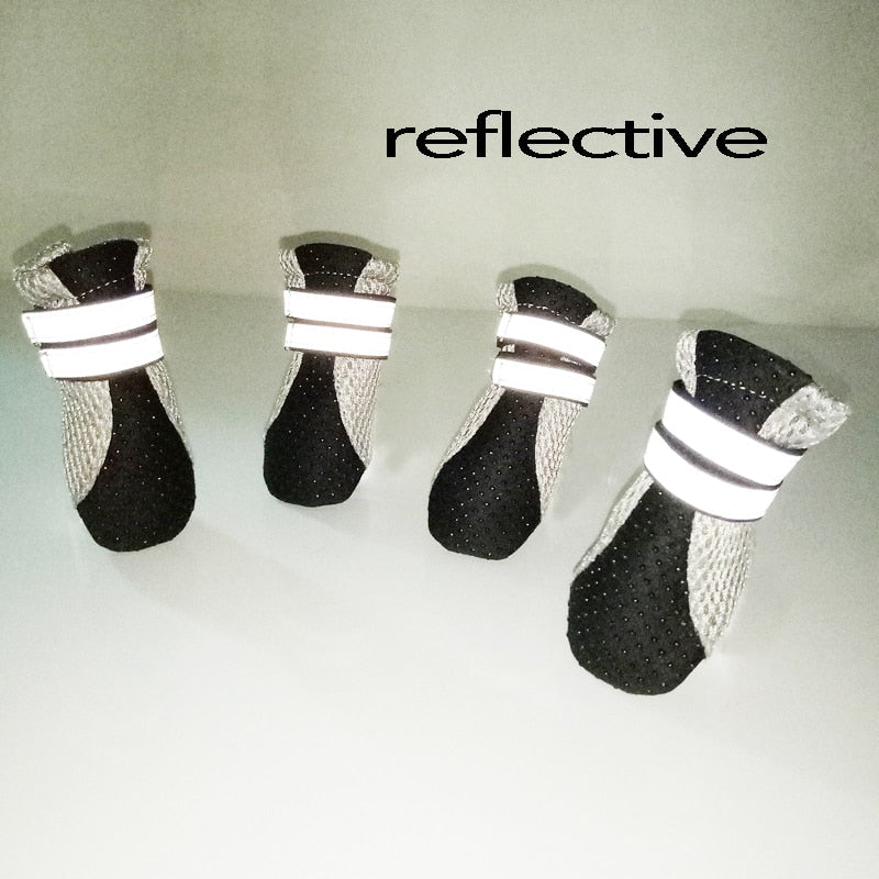 Shoes for Cats for Walking