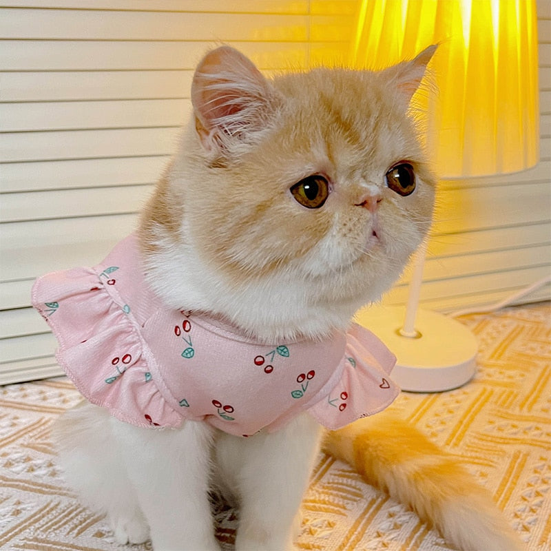 Simple Cat Dress