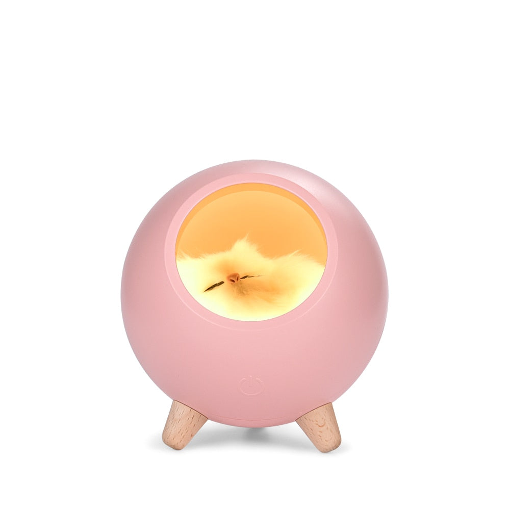 Sleeping Cat Night Light