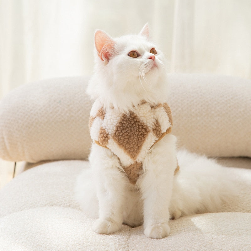 Small Clothes for Cats