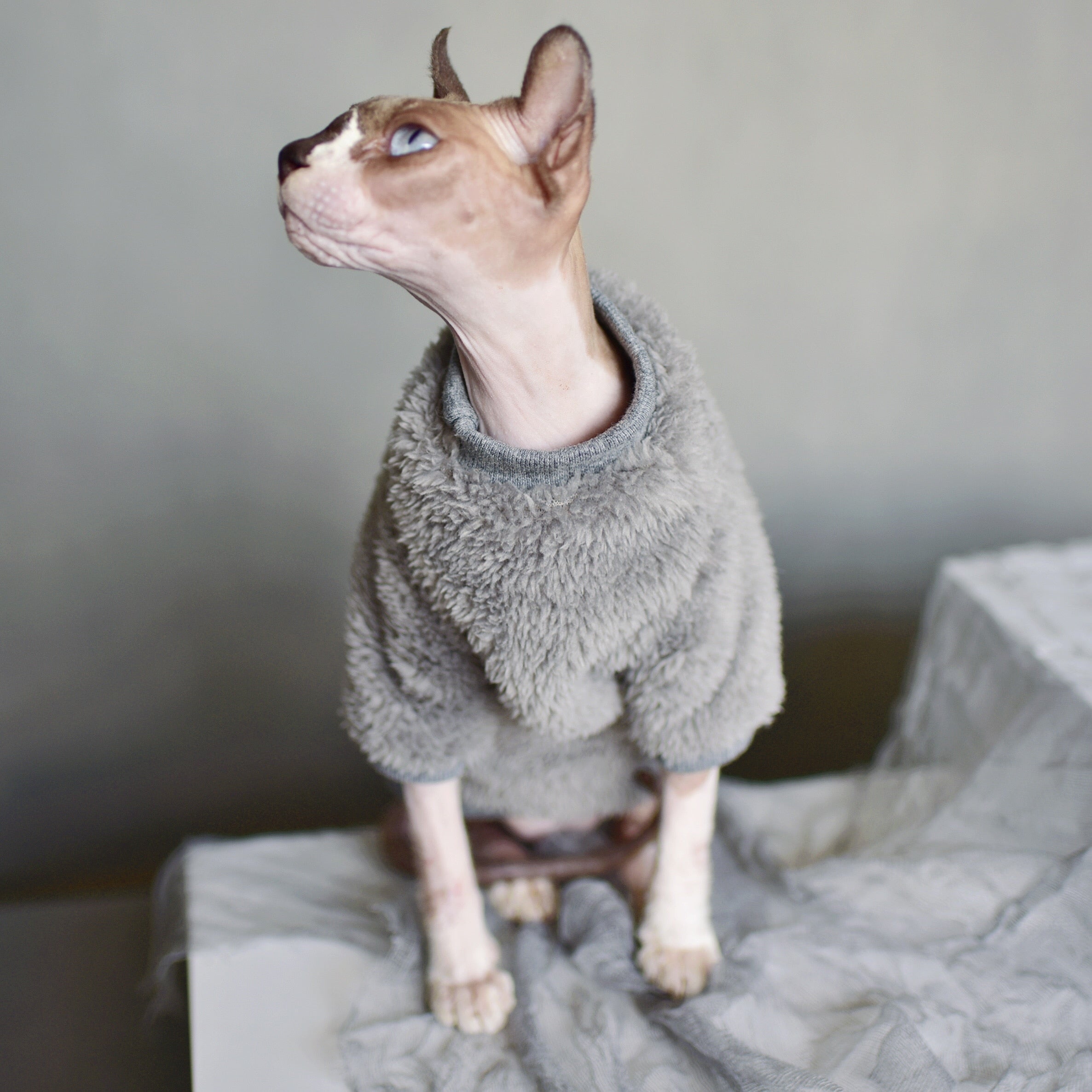 Sphynx Cat Sweater Clothes
