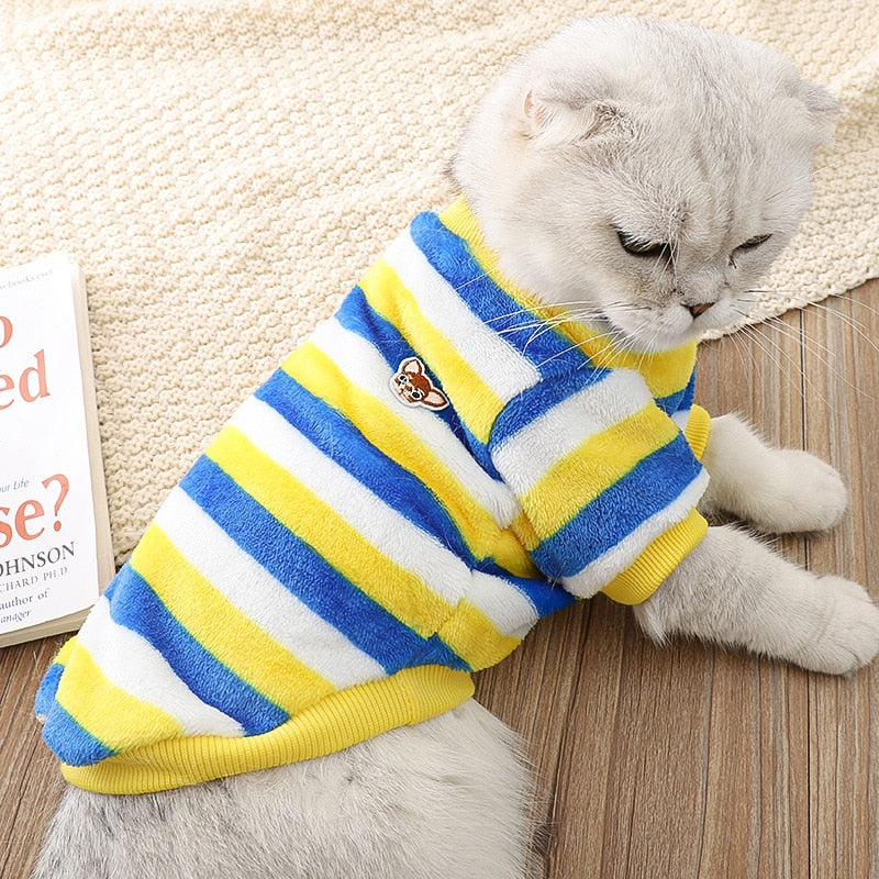 Spring Clothes for Cats