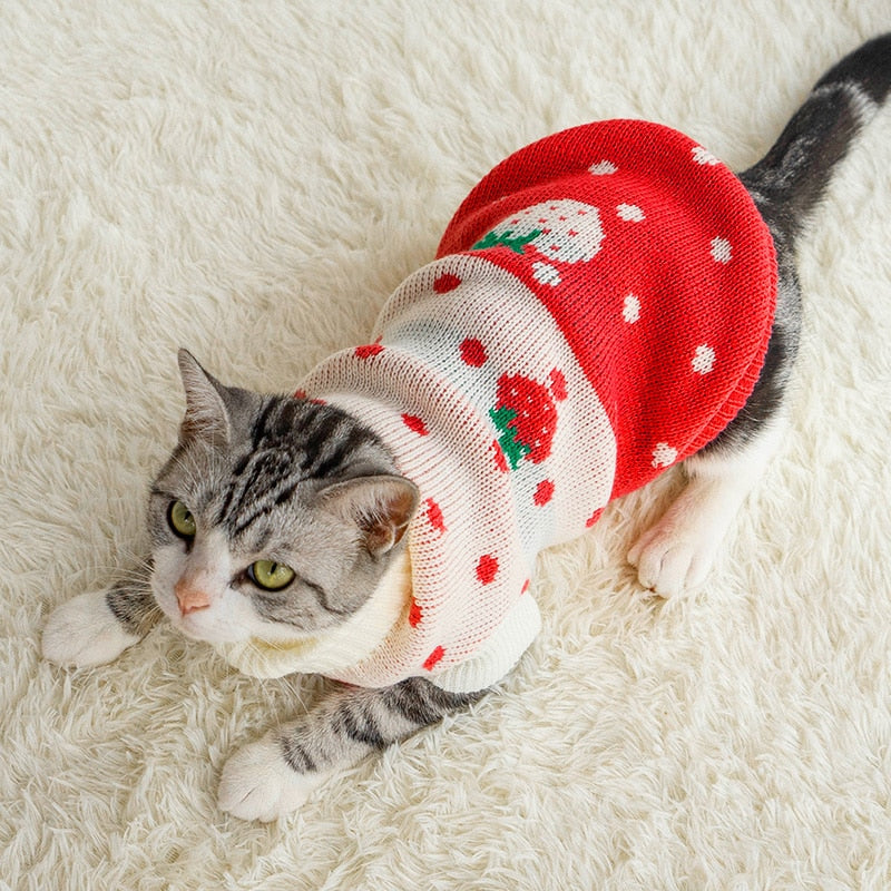 Strawberry Clothes for Cats