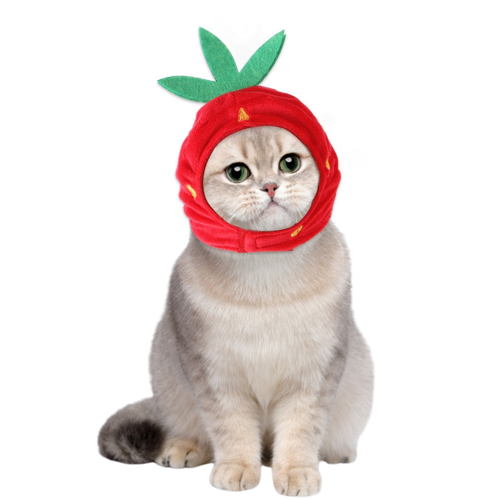Strawberry Hat for Cats