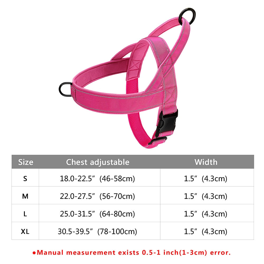 Stray Cat Harness