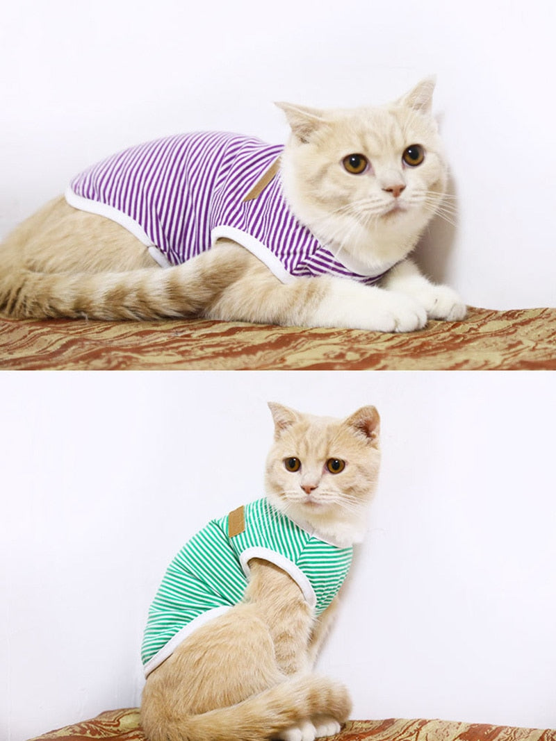 Striped Clothes for Cats