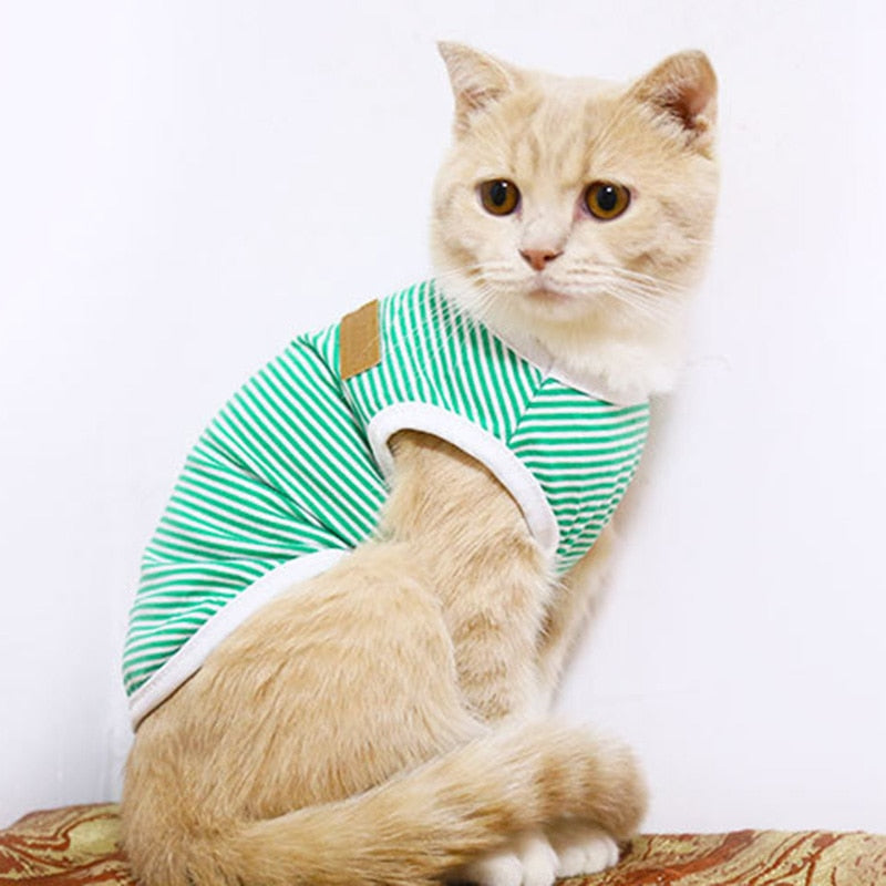 Striped Clothes for Cats