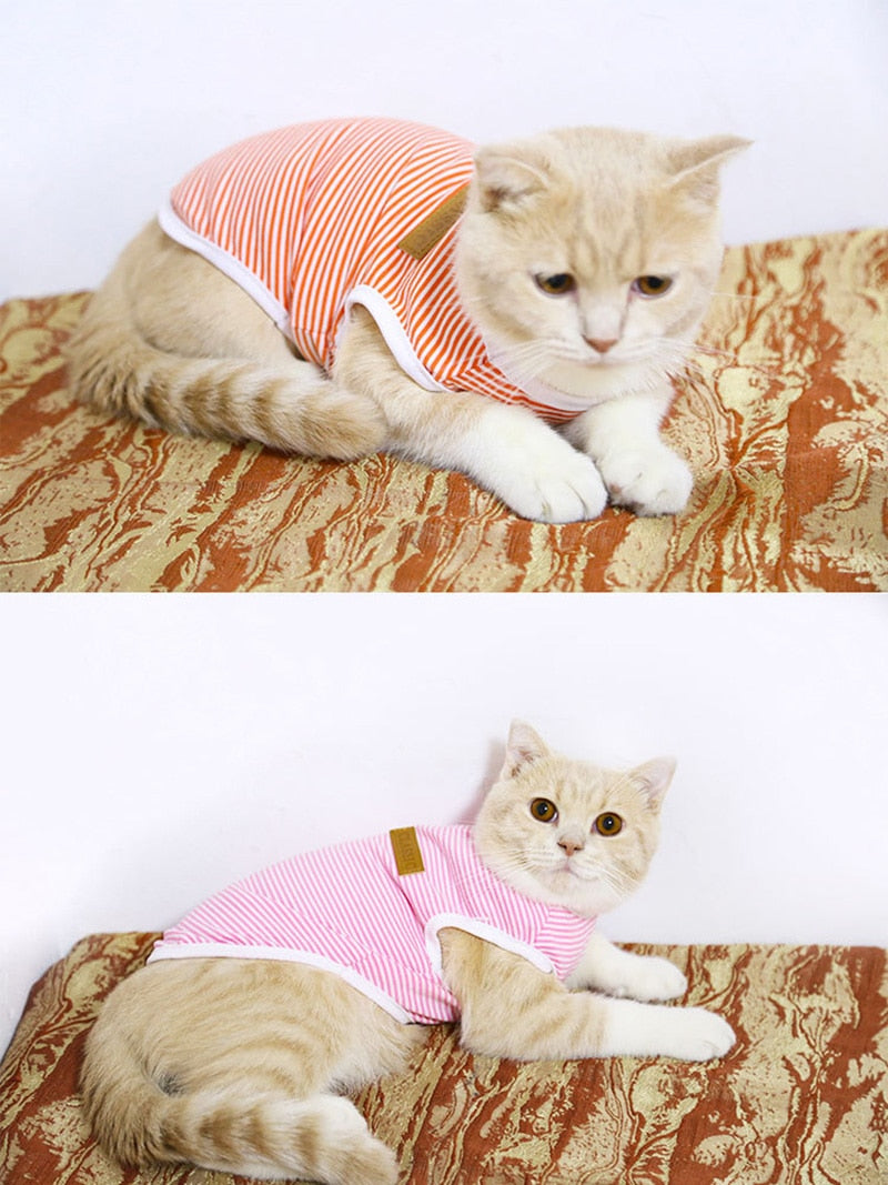 Striped Clothes for Cats