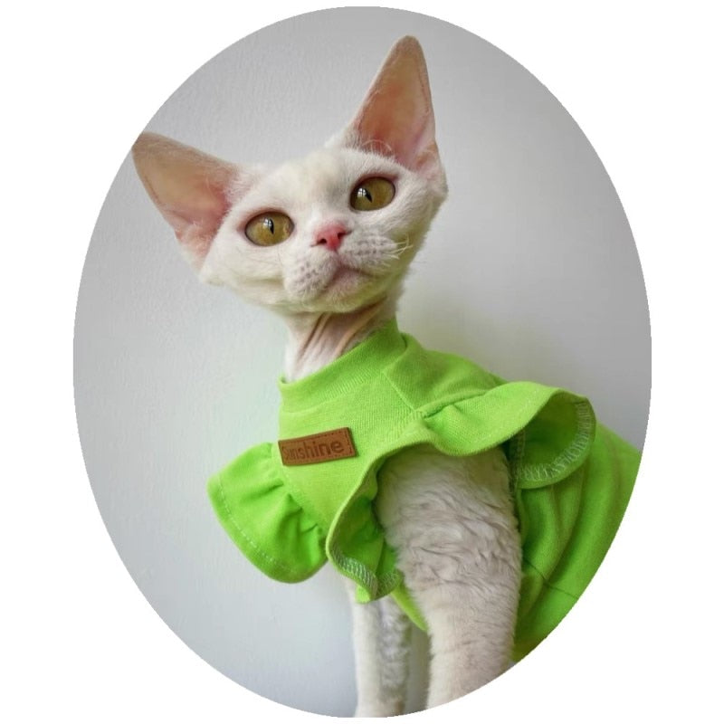 Summer Cat Clothes