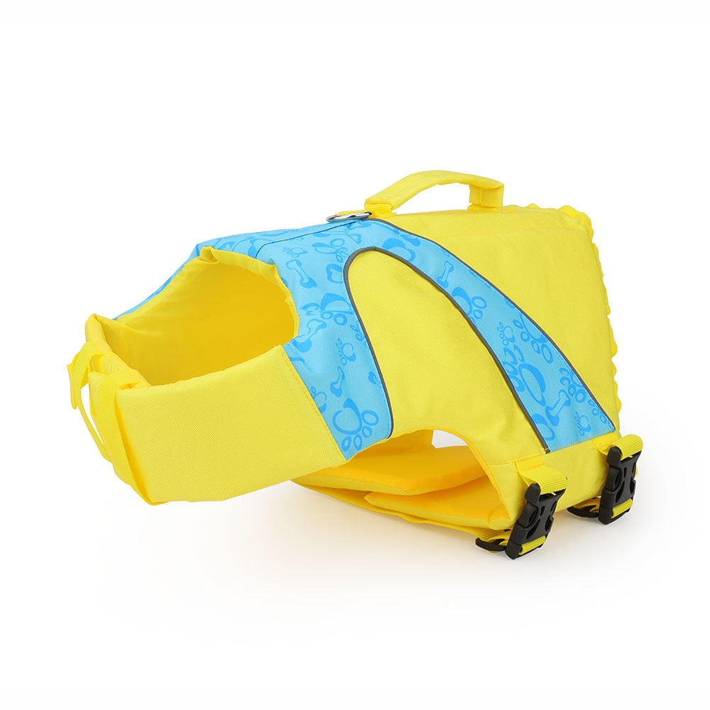 Summer Life Jacket Cat