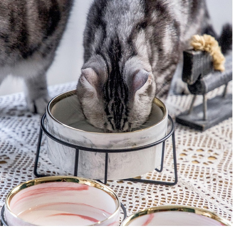 Water Bowls for Cats