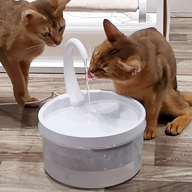 Water Fountain Cat