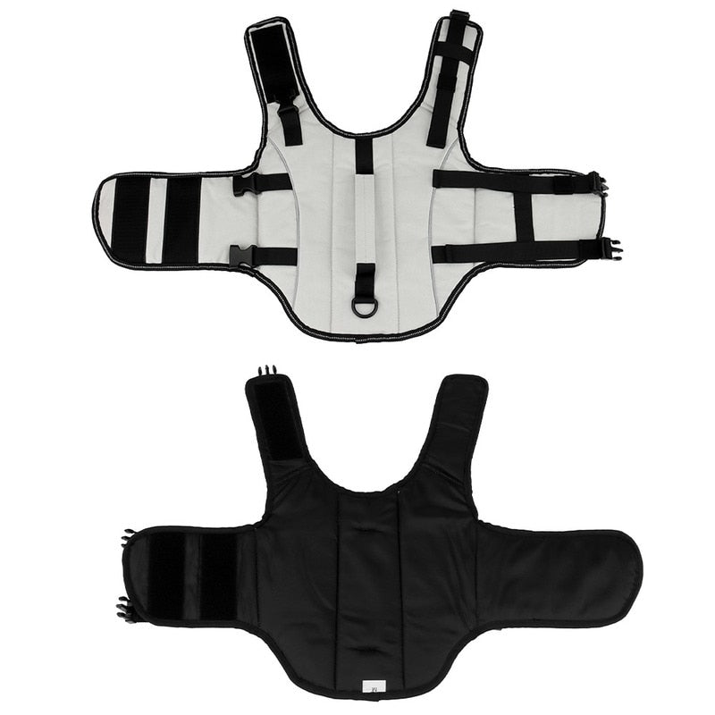 White Life Jackets for Cats