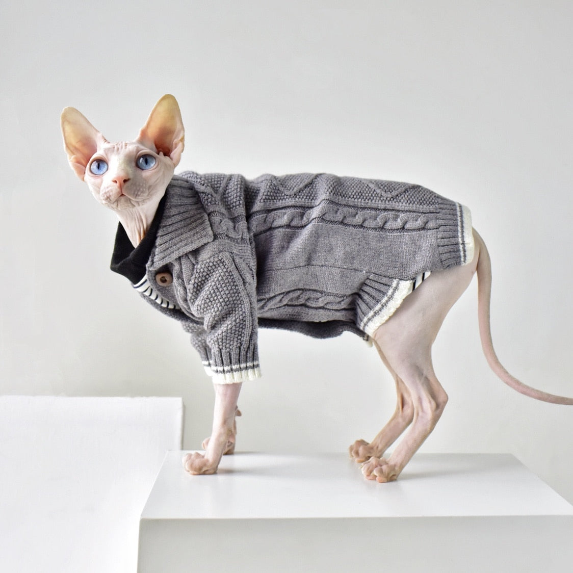 Winter Sphynx Cat Clothes