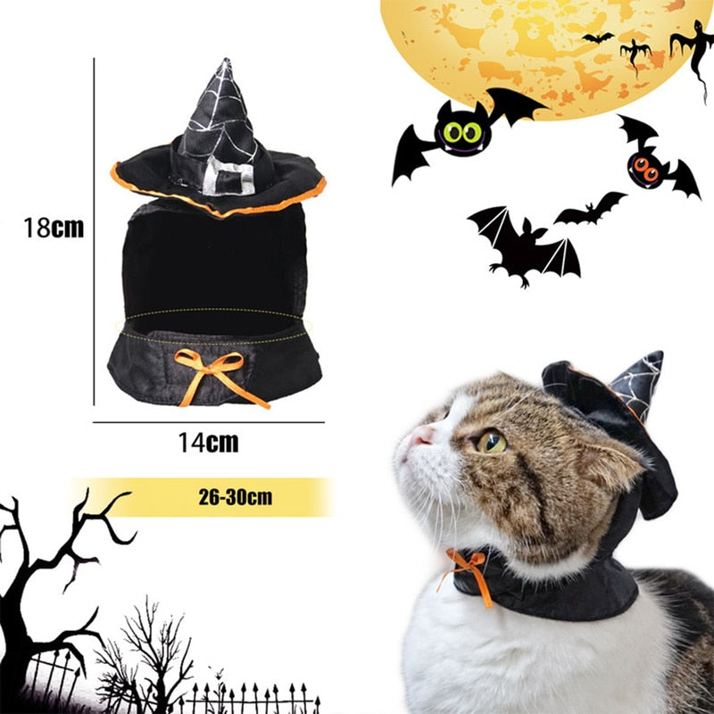 Witch Hat for Cat