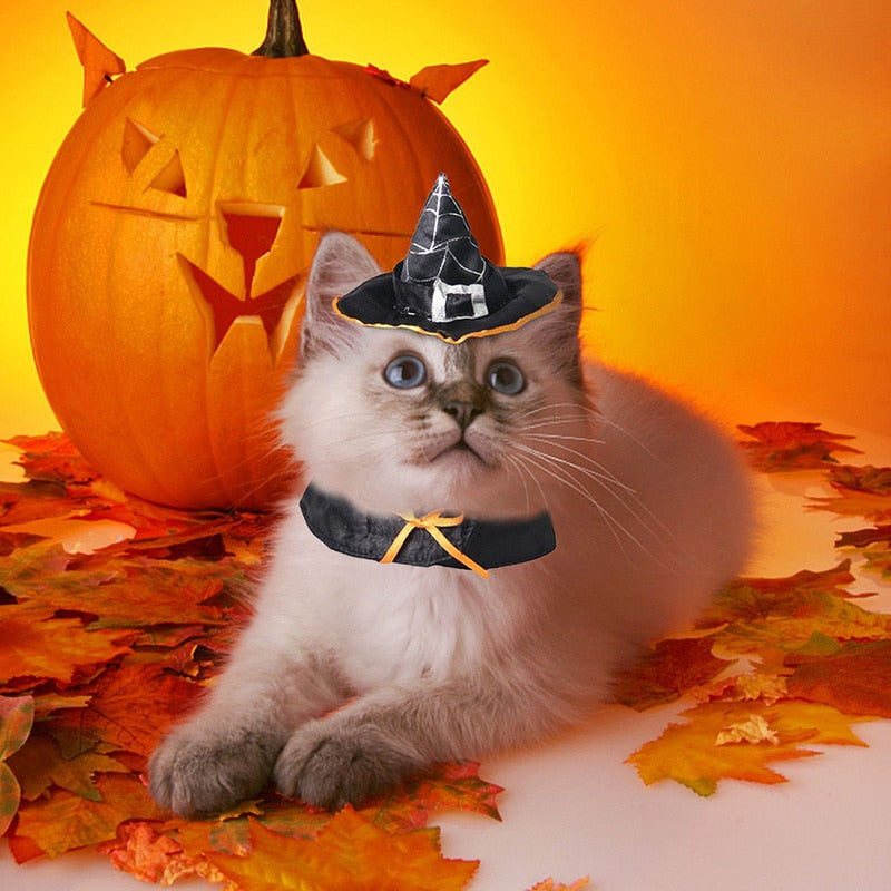 Witch Hat for Cat